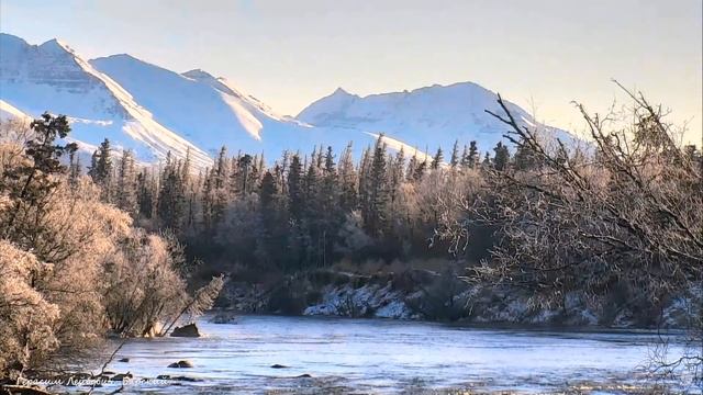 Природа #Аляска Медведи в спячке - рыбы нет Национальный парк #Katmai США Первое дыхание зимы :) смотреть онлайн