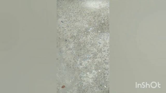 #Ford #Fiesta 97 fica com a transformação dele ai смотреть онлайн