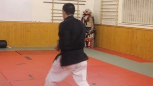 Kata - NICHO SAI - Matayoshi Kobudo