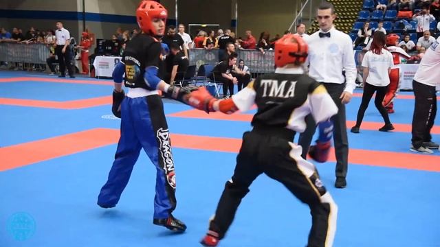 WAKO POINT FIGHTING смотреть онлайн