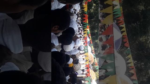 ሊቃውንተ ቤተክርስትያን ፋሲለደስ ሲያከብሩት смотреть онлайн