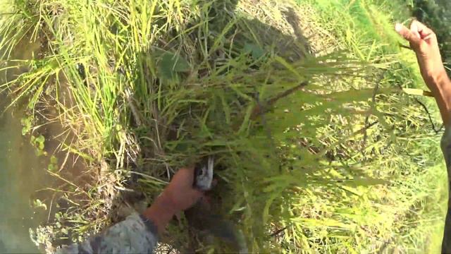 Рыбалка на спиннинг 2018 смотреть онлайн