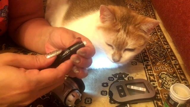 Йога для повышения уровня счастья