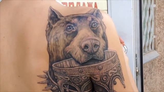 собака с короной