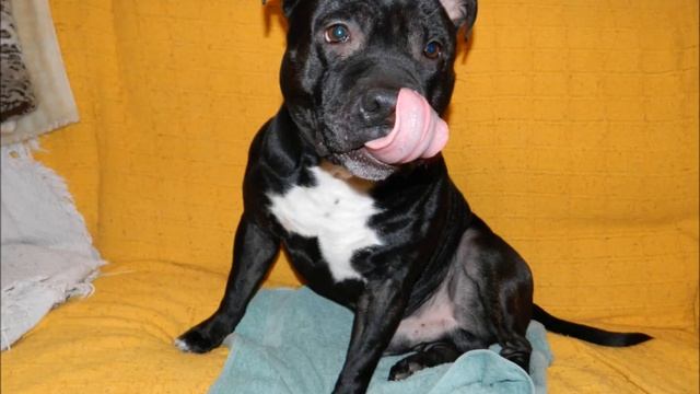 Nikon L310 photos смотреть онлайн