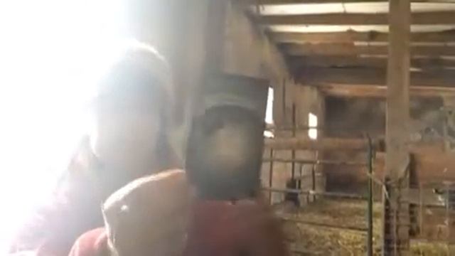 Earth Magic Oracle in the barn - Eagle - Communion смотреть онлайн