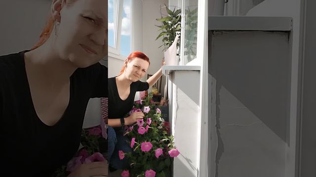 когда мозги есть,а денег - нет