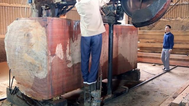 Amazing Sawmill Machines Working - Fastest Large Red Wood Sawmill And Cut Machine Working In Factor смотреть онлайн
