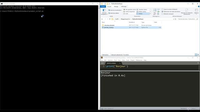 How to execute a script in Python - (Comment exécuter un script sur Python) смотреть онлайн