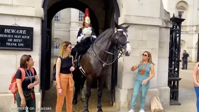 Here's Why You Never Mess With a Royal Guard смотреть онлайн