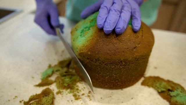 Цирковые Шоу с Трюками и Фокусами