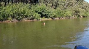 Рыбалка в Молчаново. Томск часть 1