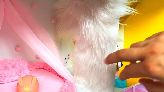 RESCUE the Smallest KITTEN in the World !! And building a NEW HOUSE for CAT смотреть онлайн