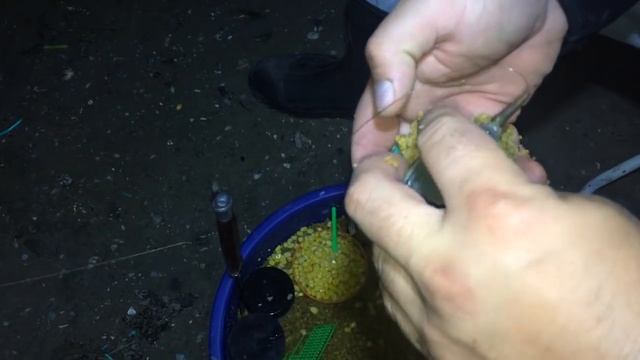 Часть 1. Ночь, река, карась)))) Хорошая рыбалочка))) смотреть онлайн