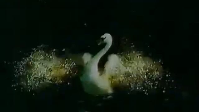 Реклама Россия щедрая душа Совершенство 2001