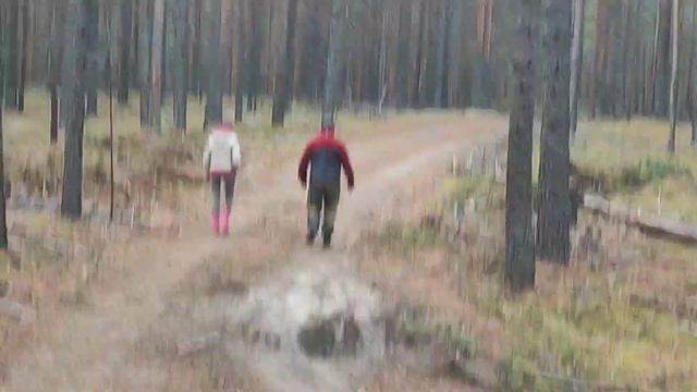 Грибы есть!#сибирь#грибы#осень смотреть онлайн