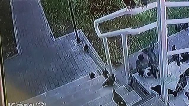 Нижегородские оперативники раскрыли серию краж велосипедов в Автозаводском районе смотреть онлайн