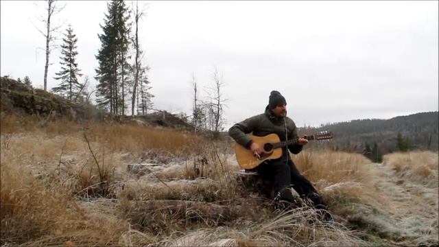 Quiet song - live and windy (Fender 12 string acoustic) смотреть онлайн