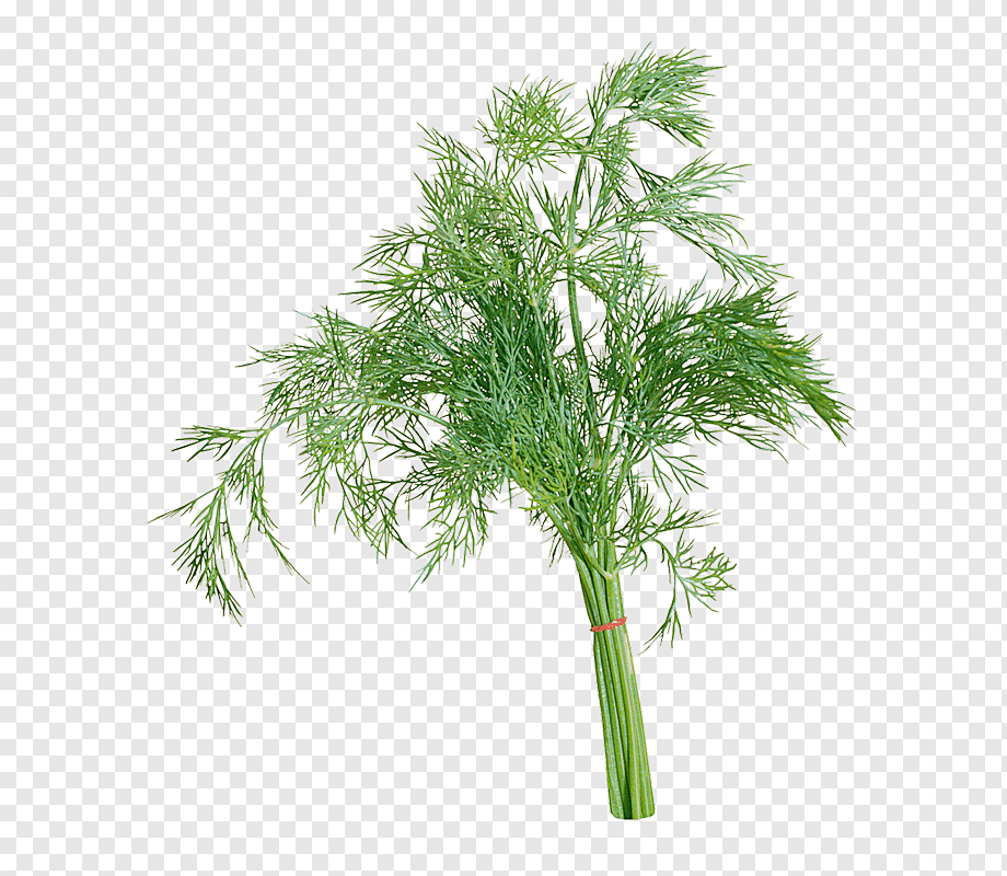 кабанчик хрю хрю, обиженка на русских смотреть онлайн