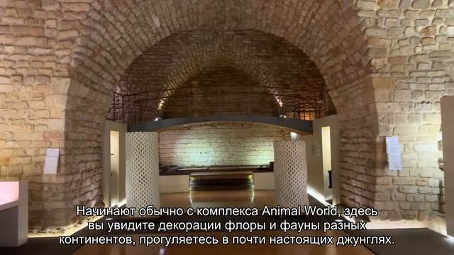 Достопримечательности Шанхая: Музей науки и техники 2020 Отзывы туристов и форум Ездили-Знаем! * смотреть онлайн