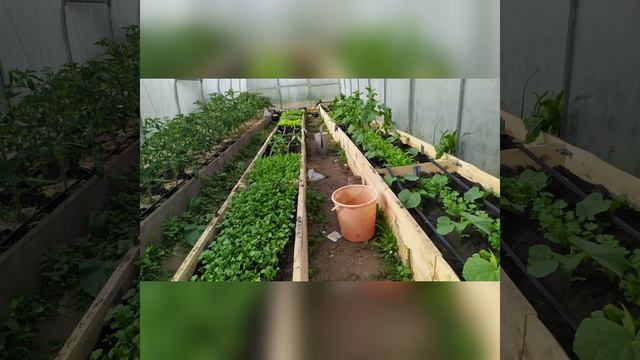 1...Установка теплицы 2021 (ее полёт..). смотреть онлайн