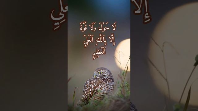 quran, amazing quran ayat,quran verses #mecca #madina #peace #quranpak #islamic #trending смотреть онлайн