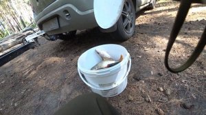 Рыбалка и отдых на ОВХ. База Бухта. Бурмистрово. Обское море.