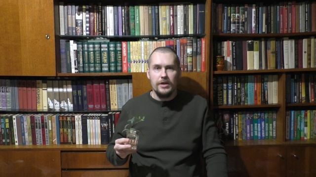 Барвинок малый. Укоренение черенков в воде. смотреть онлайн