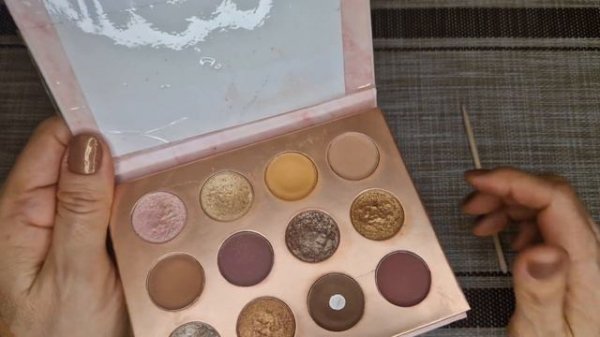 Project Pan that palette 2023 // 4-й Отчёт ✨️