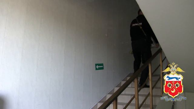 В Оренбуржье полиция изъяла из магазина автозапчастей свыше 15 тысяч пачек контрафактных сигарет смотреть онлайн