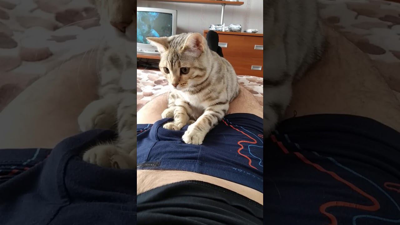 22 января 2020 г. смотреть онлайн