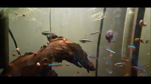 Спят усталые игрушки  - Спокойной ночи малыши