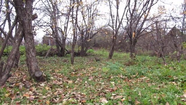 Плачет душа смотреть онлайн