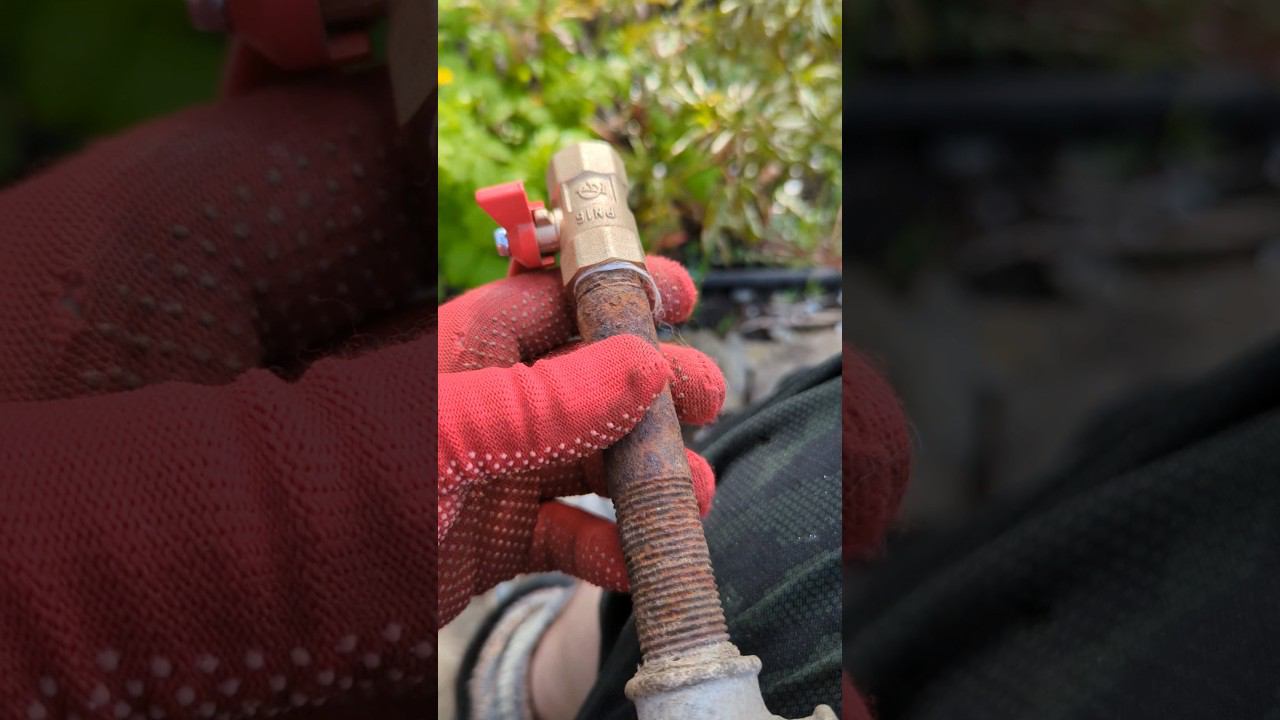 полив огорода готов #shorts #сад #огород смотреть онлайн