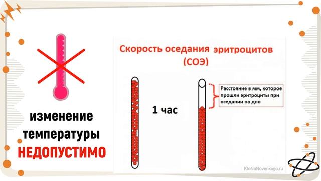 Кому доверять? Общий анализ крови смотреть онлайн