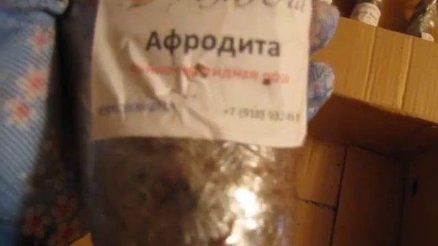 Посылка с розами из ИМ "Розы Юга". Достоинства и недостатки. смотреть онлайн