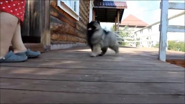 Алмазный Источник Вологодские Кружева смотреть онлайн