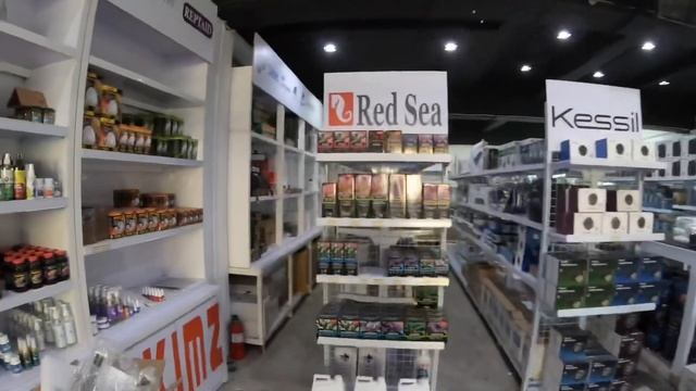 Bali-java tour 2020 jakarta visite d un exportateur et de java reef , le shop смотреть онлайн