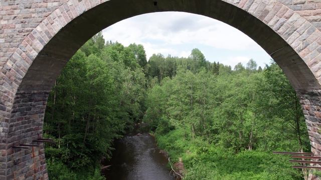 2022 Ярынья. Заброшенный железнодоржный мост смотреть онлайн