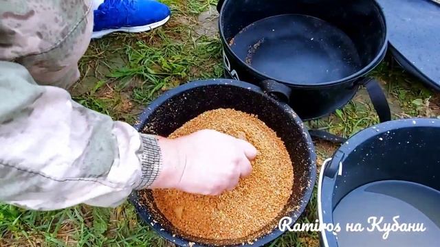 рыбалка на Кубани/ фидерная ловля карася смотреть онлайн