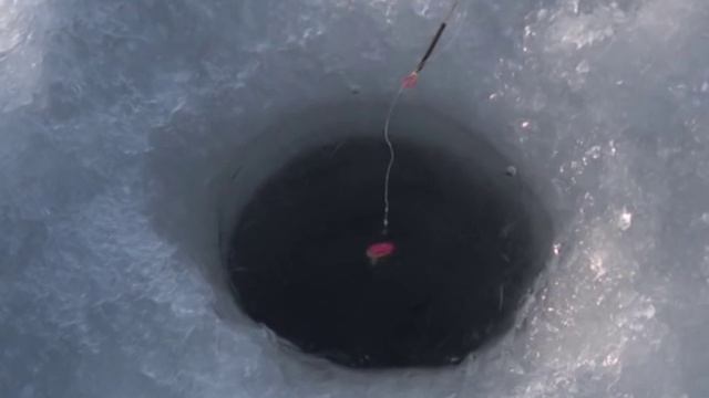 Зимняя рыбалка в Волоконовке смотреть онлайн