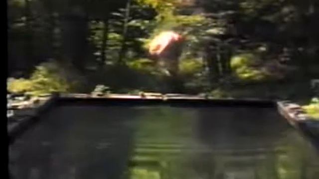 BILL VIOLA - Reflecting Pool смотреть онлайн