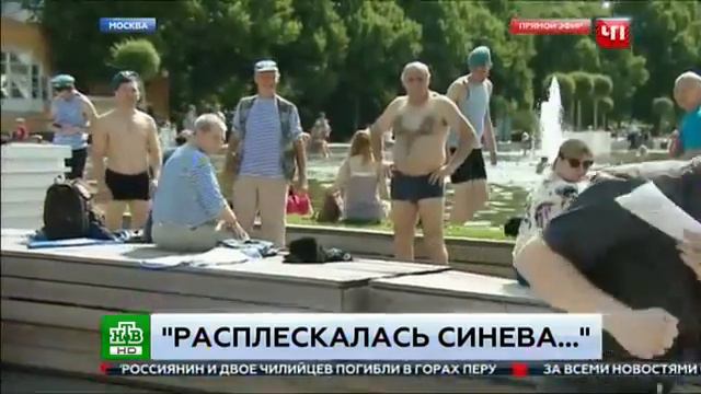 Расплескалась синева на лице у журналиста. смотреть онлайн