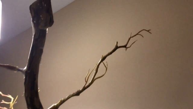 Минимализм Декор своими руками Коряга в интерьере DIY смотреть онлайн