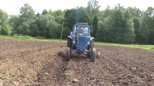 #174 Нарезка борозд под картошку трактором МТЗ-80 с крн 2.8 смотреть онлайн
