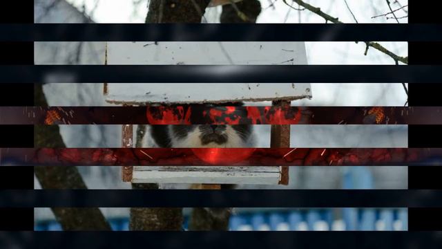 Музыка для праздников