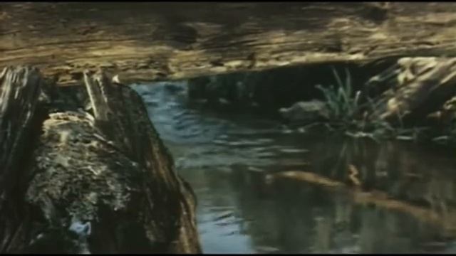 Из к.ф. "Соната над озером"красивая игра актеров смотреть онлайн