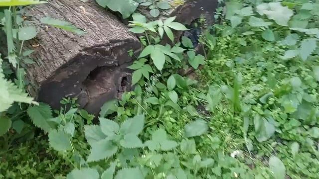 Добрый человечек!!!! Владимир начал получать пенсию. смотреть онлайн