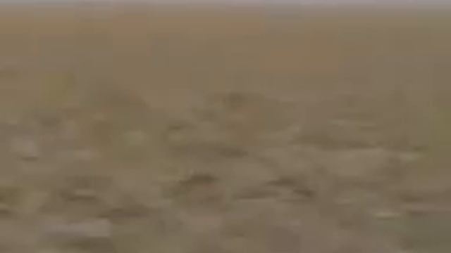 DIY Мастерская