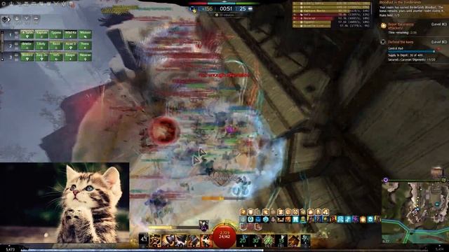 GW2 - Second Law [Scnd] Outnumbered WvW 2 [Berserker] смотреть онлайн